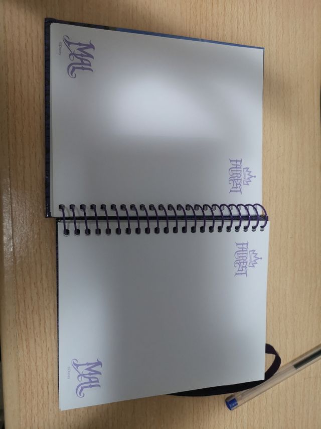 Lote estuche y libreta los dscendientes 