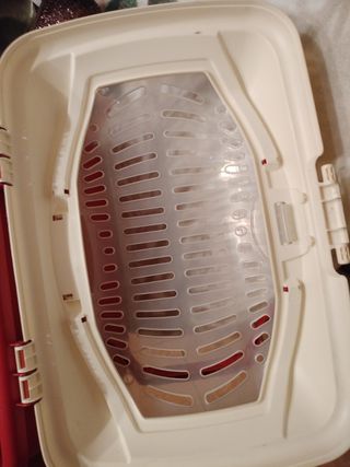 Transportista para animales peros gatos