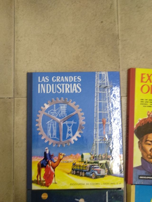 Enciclopedia en colores Timun Mas