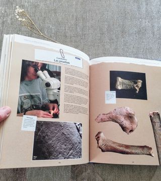 Atapuerca.Un millón de años de historia. 1ªEd 1998