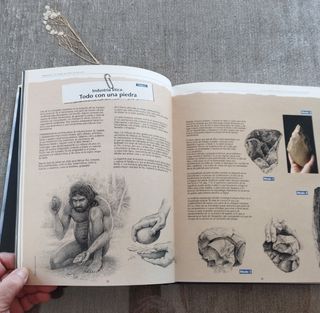 Atapuerca.Un millón de años de historia. 1ªEd 1998