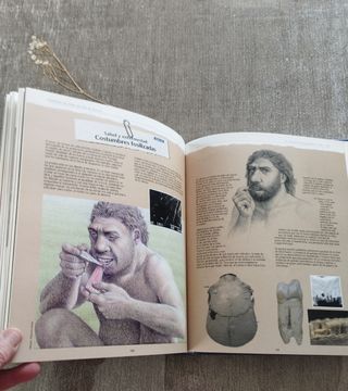 Atapuerca.Un millón de años de historia. 1ªEd 1998