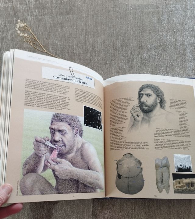 Atapuerca.Un millón de años de historia. 1ªEd 1998