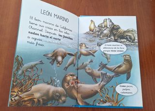 Historias de hadas y princesas