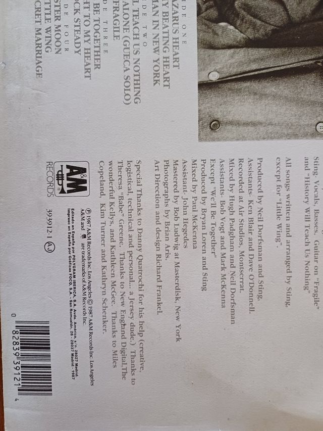 Album doble vinilo Sting Nothing like the sun