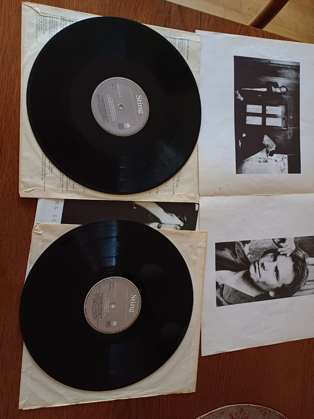 Album doble vinilo Sting Nothing like the sun