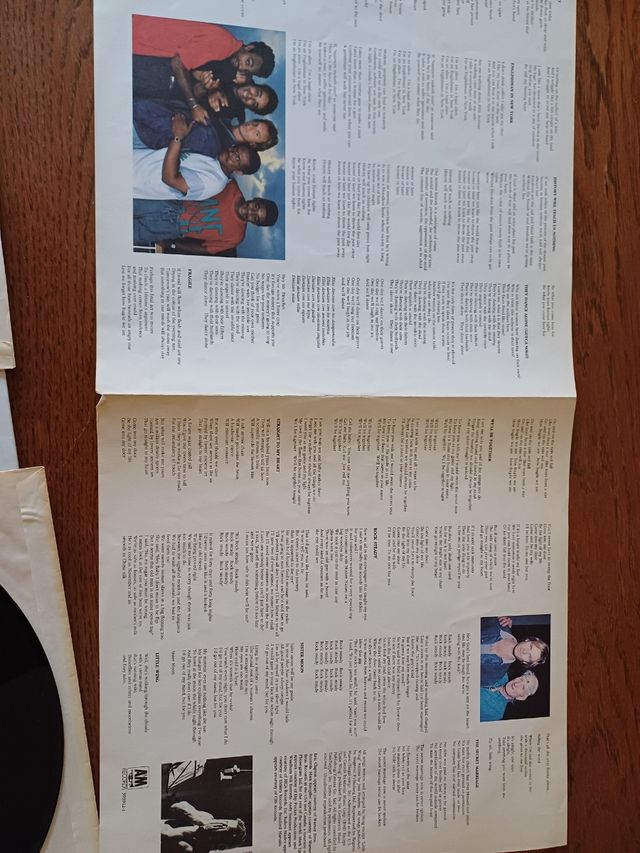 Album doble vinilo Sting Nothing like the sun