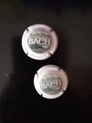 Chapa de cava