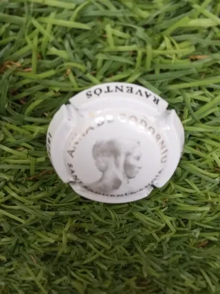 Chapa de cava,varias