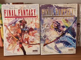 Final Fantasy: Lost stranger 1 y 2