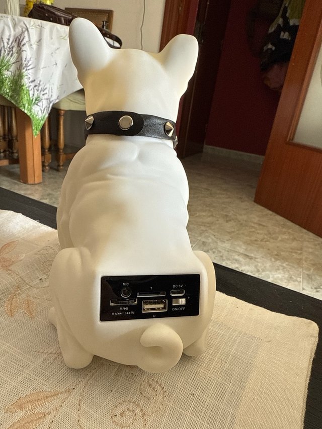 Altavoz BullDog  Portatil 10W Karaoke