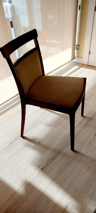 Sillas de salón