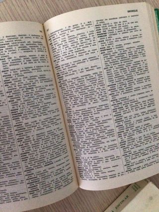 Diccionario Vintage español Inglés