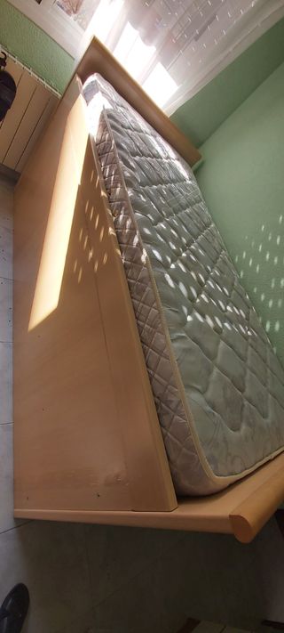 Cama nido con REGALO