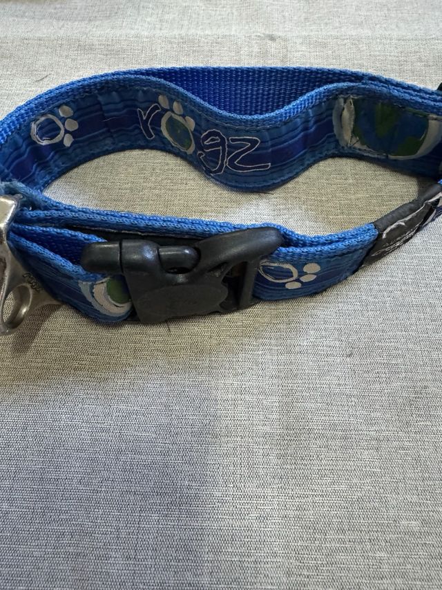 Collar perros