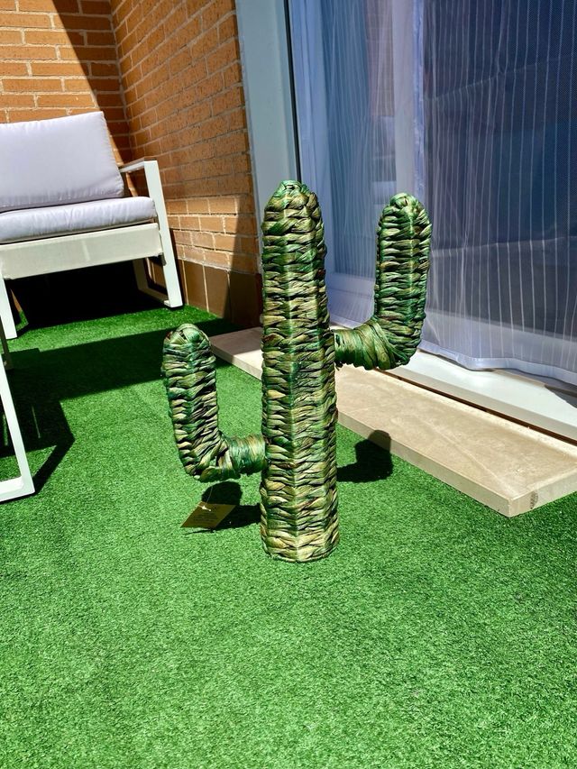 Cactus