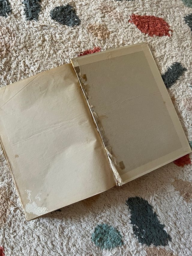 Libro manual de cocina 1955 Vintage