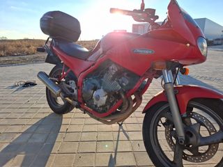 Yamaha 600 xjs diversión