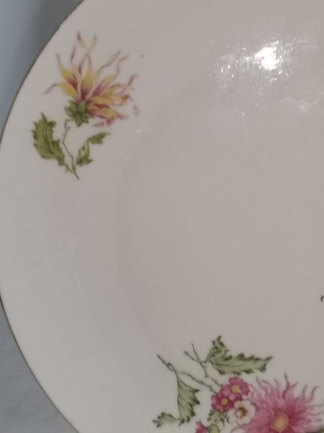 Piccolo unico piattino SELTMANN