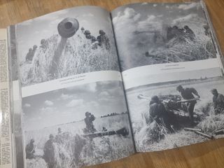 Wenn alle Brüder schweigen