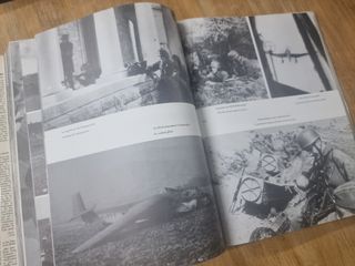 Wenn alle Brüder schweigen