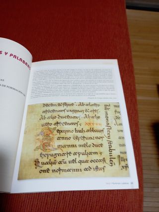 LIBRO DE LENGUA CASTELLANA 1° BACHILLERATO