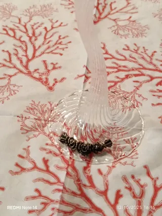 Porta candela in vetro di Murano