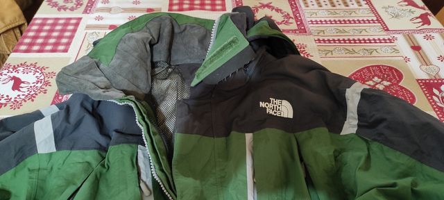 The north-face wind-ski jackets
