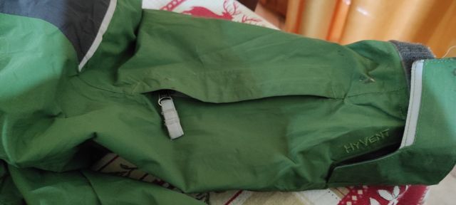 The north-face wind-ski jackets