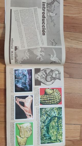 Álbum maga arte año 1971 completo