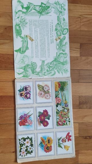 Álbum vida y color año 1965 completo