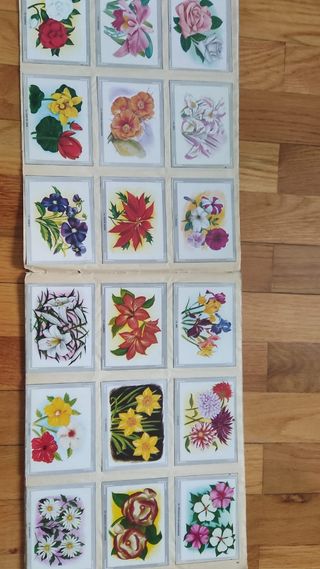 Álbum vida y color año 1965 completo