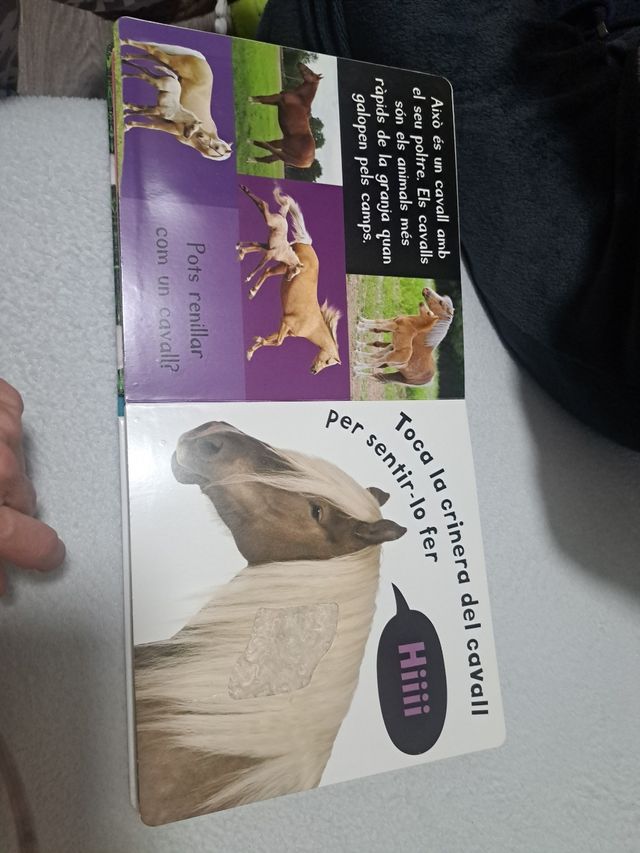 Sons de la granja: El meu primer llibre de textures i sons