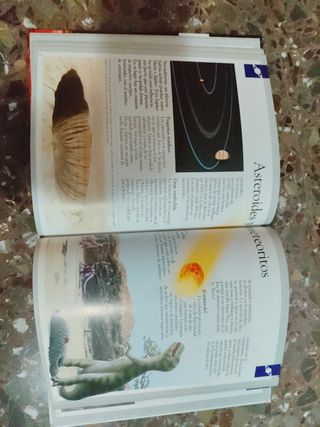 El Universo/The universe (Spanish Edition)