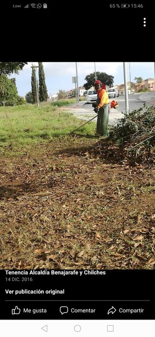 Jardinero económico