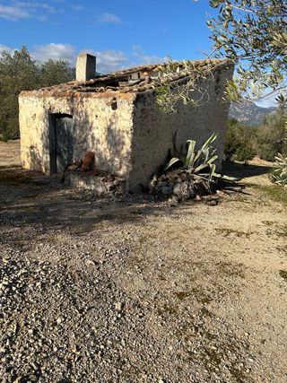 Finca rustica