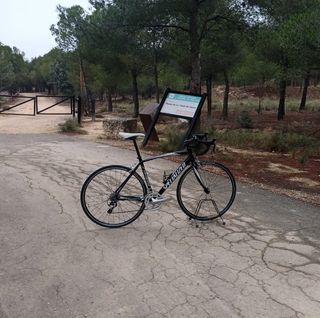 Bicicleta carretera Specialized Allez T56