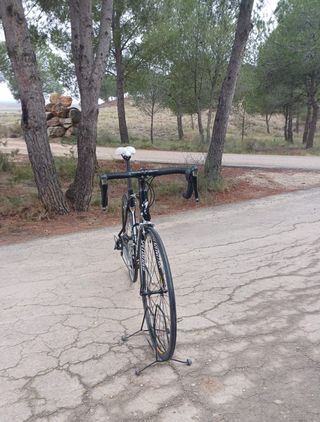 Bicicleta carretera Specialized Allez T56