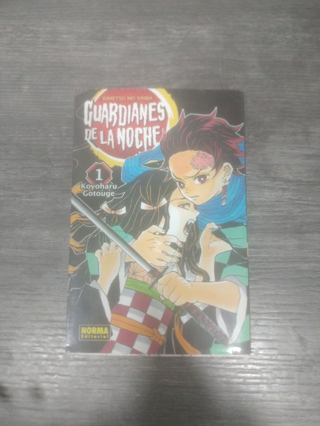 GUARDIANES DE LA NOCHE 01