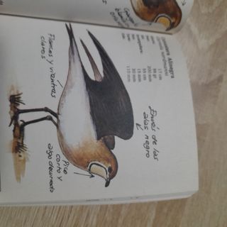 Cuaderno de campo Félix Rodríguez