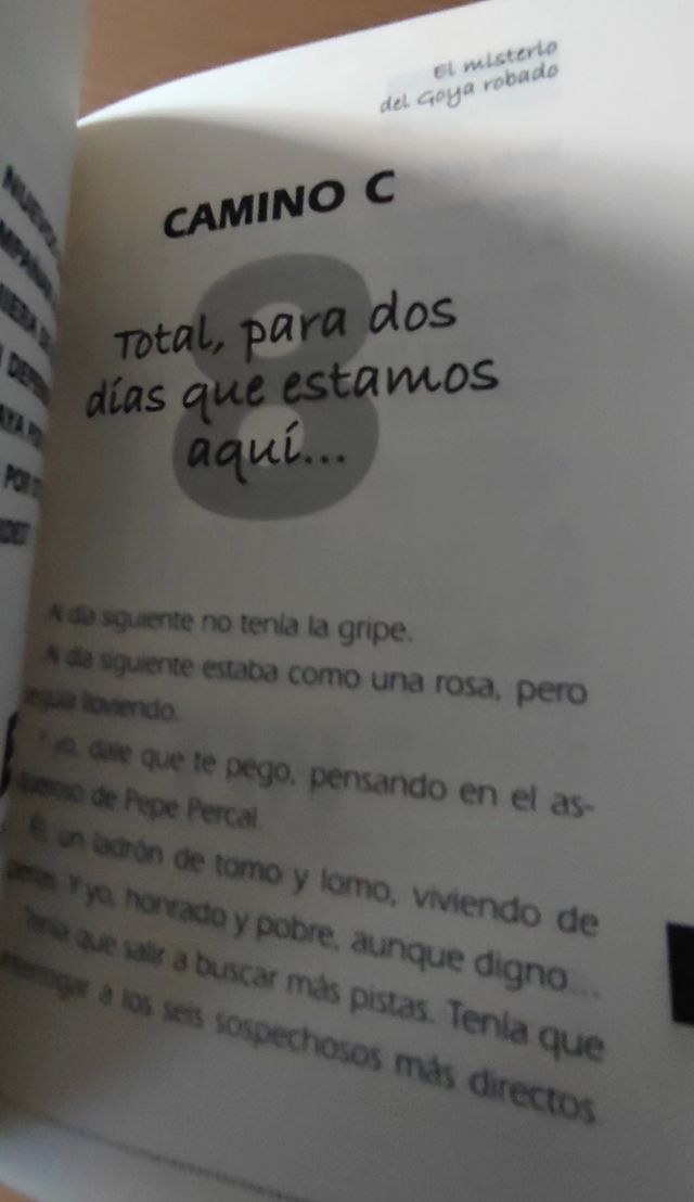 EL MISTERIO DEL GOYA ROBADO (Amadeo Bola) (Spanish Edition)