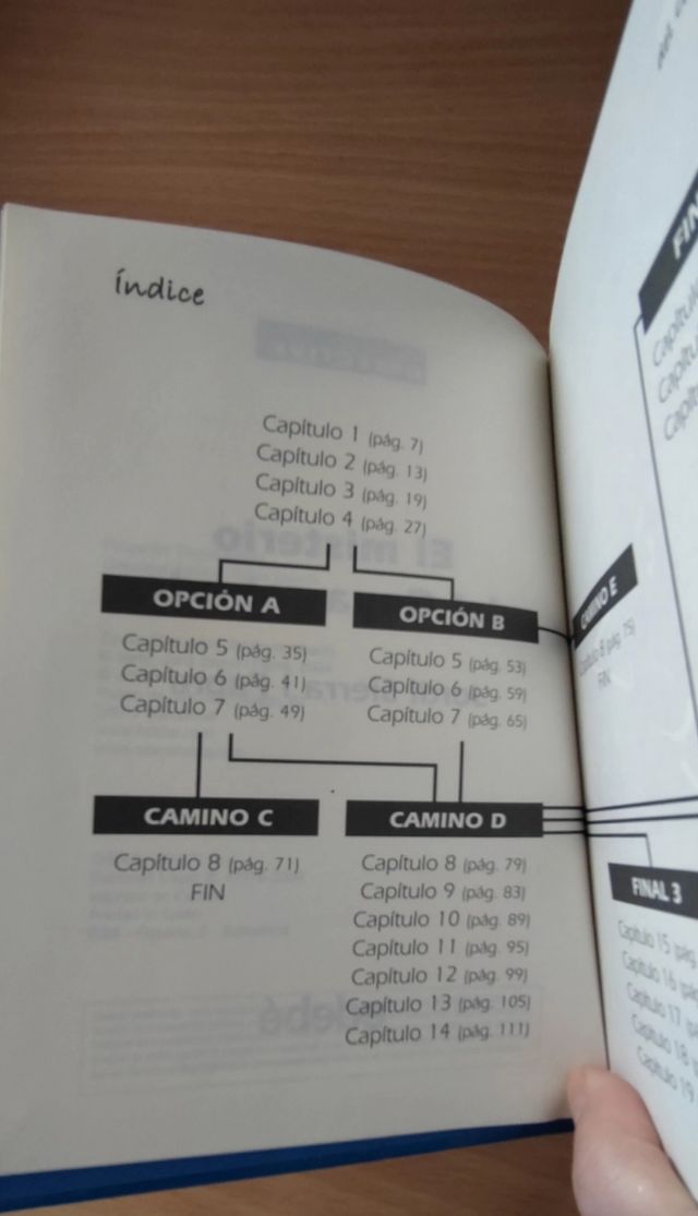 EL MISTERIO DEL GOYA ROBADO (Amadeo Bola) (Spanish Edition)