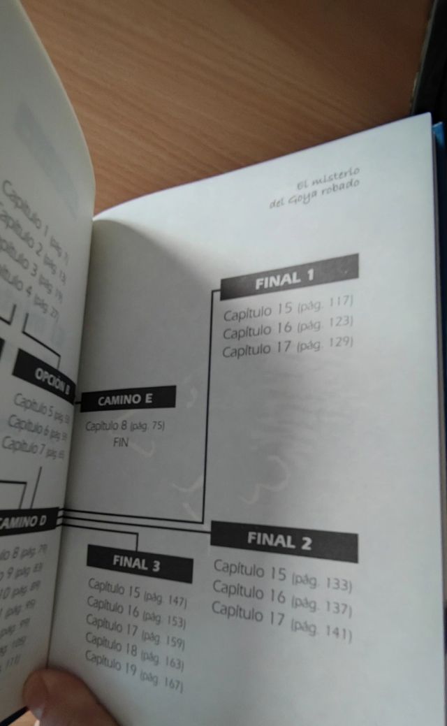 EL MISTERIO DEL GOYA ROBADO (Amadeo Bola) (Spanish Edition)