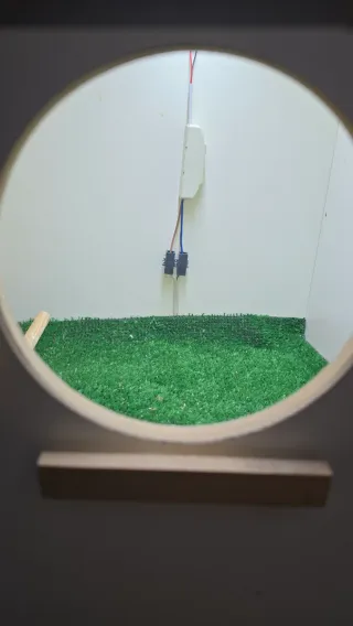 Cajón fotográfico para pájaros