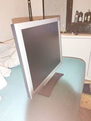 Monitor ordenador 