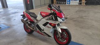 Yamaha Fzr 1000 EXUP