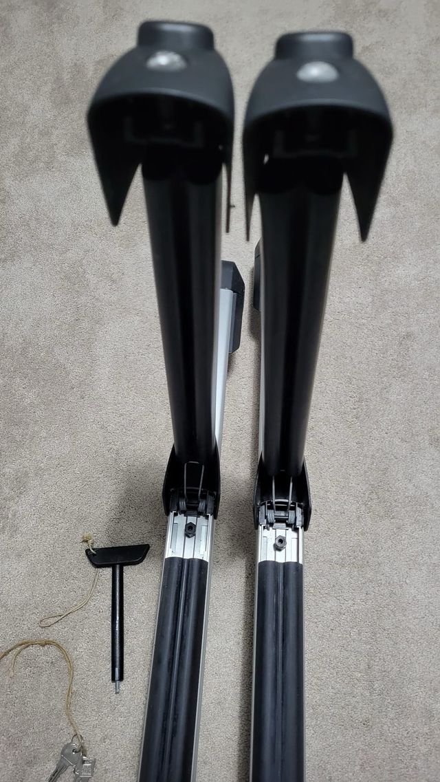 Barras y portaesquies originales/baca