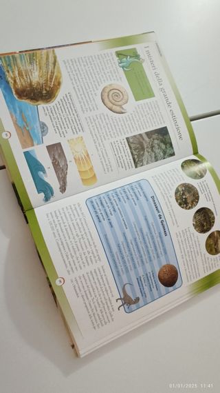 Preistoria. L'evoluzione della vita sulla Terra