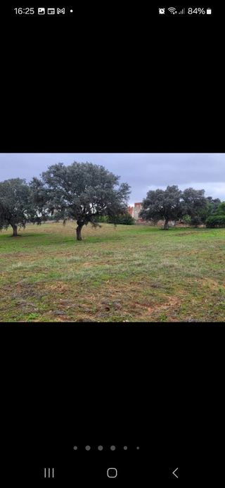 Se vende parcela 5000m en Campomanes