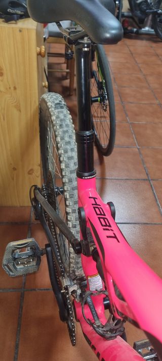 CANNONDALE HABIT WOMEN 